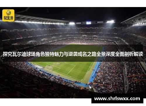 探究瓦尔迪球场角色独特魅力与逆袭成名之路全景深度全面剖析解读 探究瓦尔迪球场角色独特魅力与逆袭成名之路全景深度全面剖析解读